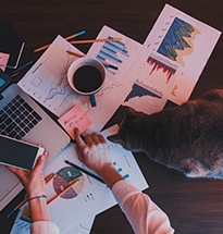 Equipe criativa 360 Criativo